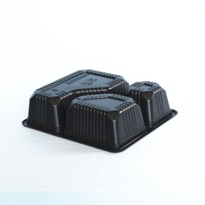 230MM PP Disposable Takeaway Food Containers Blister
