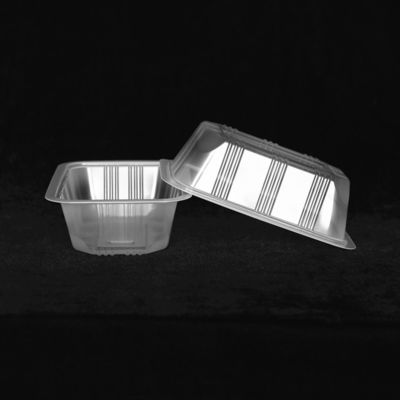 170 X 115 X 35MM PP Disposable Plastic Tray Clear Rectangular Plastic Storage Containers