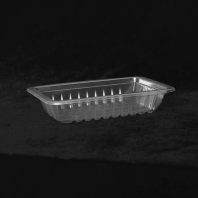 Rectangular PP Disposable Plastic Tray Blister Plastic Tray For Food Packaging