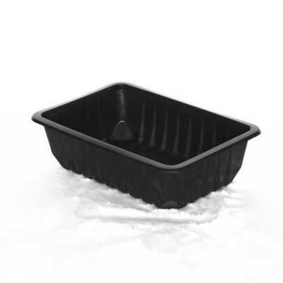 200 X 140 X 60mm het Beschikbare Plastic Bevroren Voedsel van Tray Plastic Disposable Food Tray