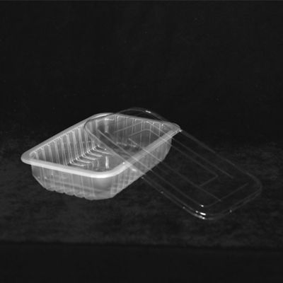 260 X 170 X 55 MM Disposable Plastic Tray Square Food Package Container With Lid