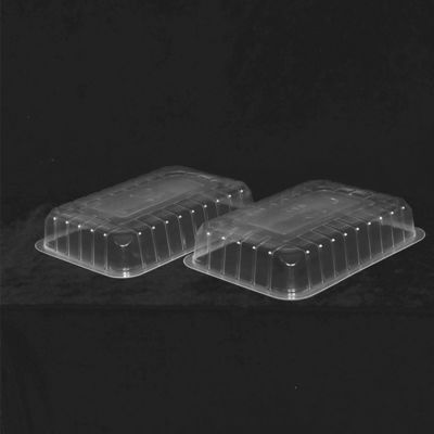 De 285 X 205 X 90 HEREN PP Beschikbaar Plastic Tray Clear Rectangle Food Plastic dienblad